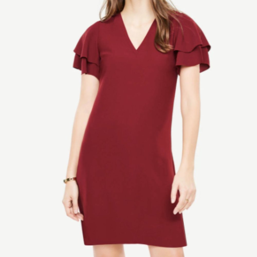Brand New, Never Worn, Ruffle Sleeve Dress